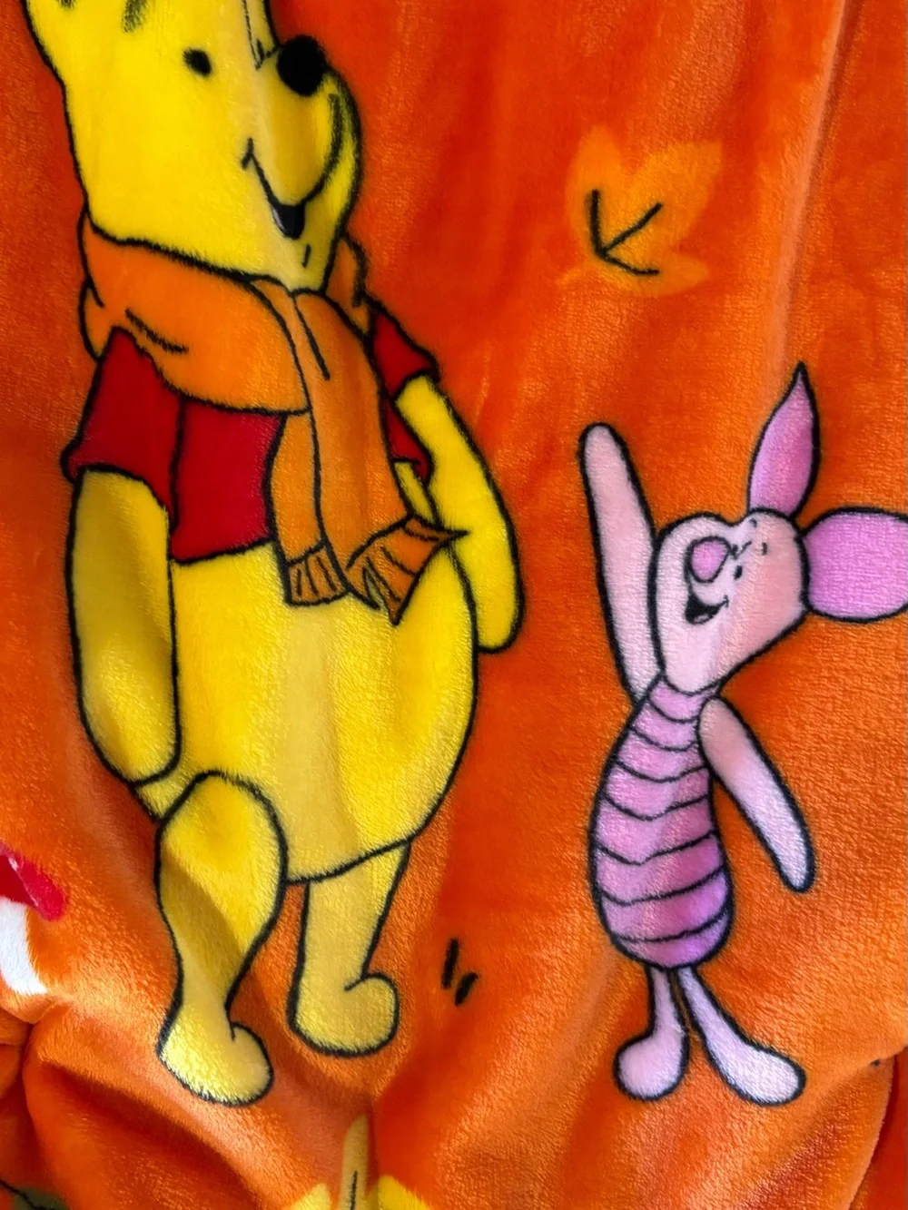 Disney Winnie the Pooh Orange Plush Throw for Kids fall edition